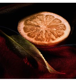 Habit Rouge - Private Red - Eau de Parfum